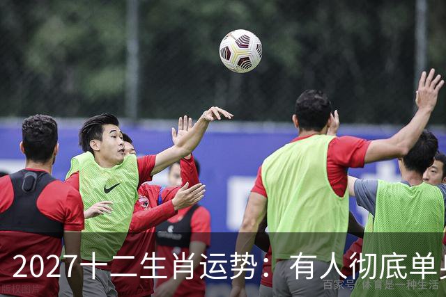 2027十二生肖运势：有人彻底单身，有人乘风而起，有人要防住小人